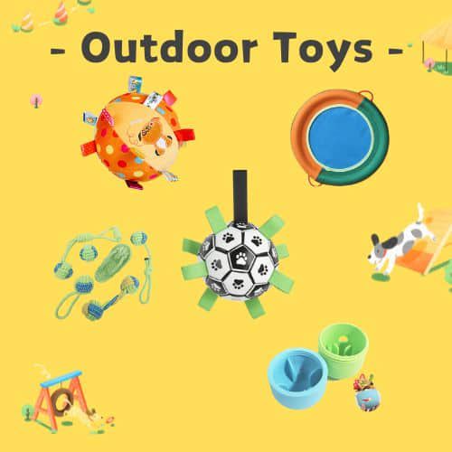 Outdoor Toys